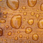Ply Story Water proof Plywood
