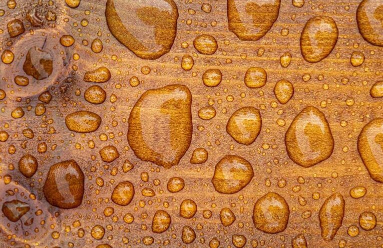 Ply Story Water proof Plywood