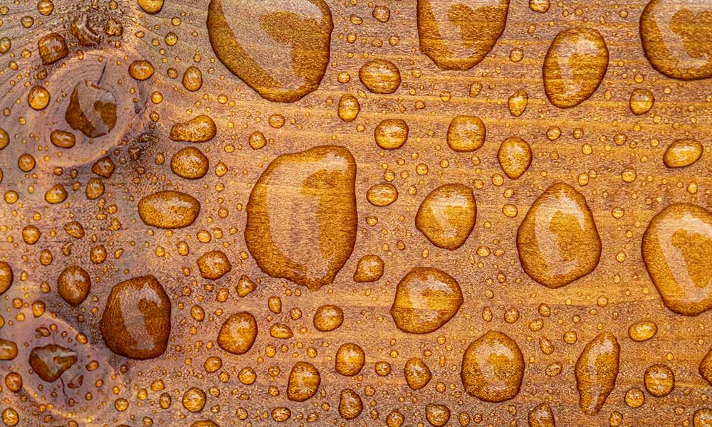 Ply Story Water proof Plywood